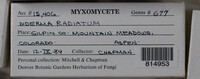 Image Associated With the Occurence